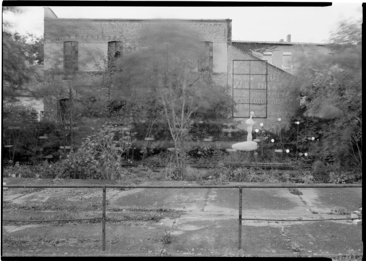 ../jpg1200/13x18sw_20041017_02.jpg